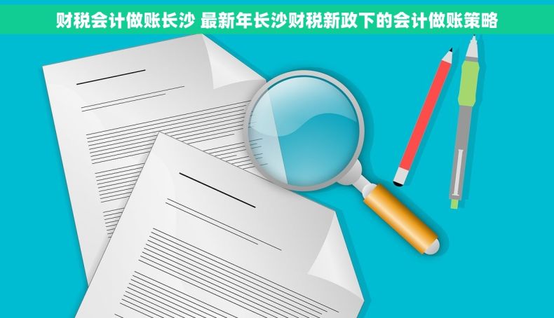财税会计做账长沙 最新年长沙财税新政下的会计做账策略