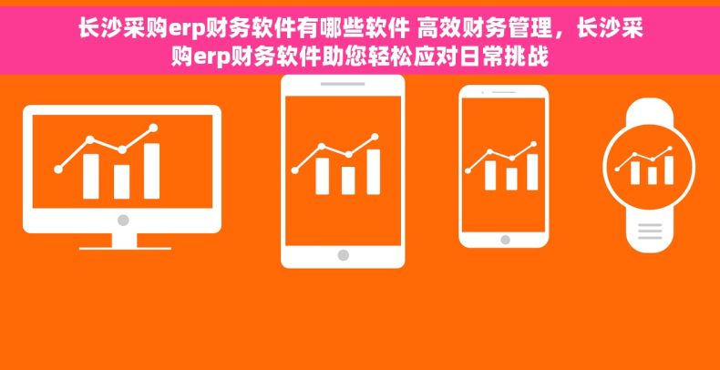 长沙采购erp财务软件有哪些软件 高效财务管理，长沙采购erp财务软件助您轻松应对日常挑战