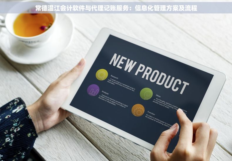 常德温江会计软件与代理记账服务：信息化管理方案及流程