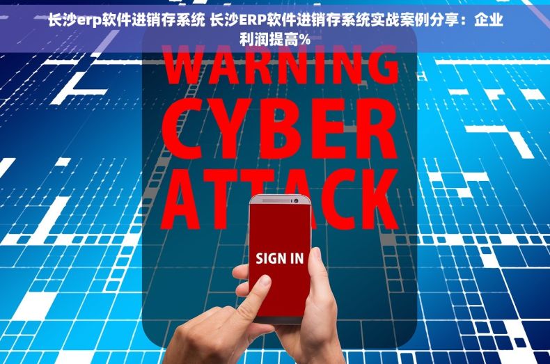 长沙erp软件进销存系统 长沙ERP软件进销存系统实战案例分享：企业利润提高%