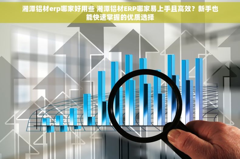 湘潭铝材erp哪家好用些 湘潭铝材ERP哪家易上手且高效？新手也能快速掌握的优质选择