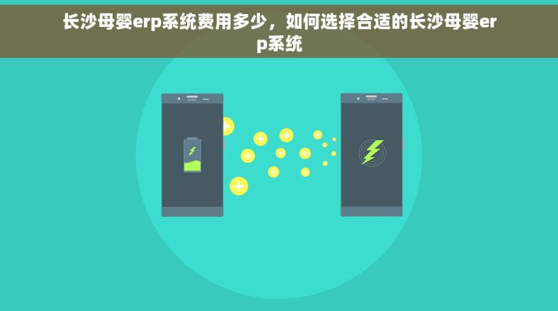 长沙母婴erp系统费用多少，如何选择合适的长沙母婴erp系统