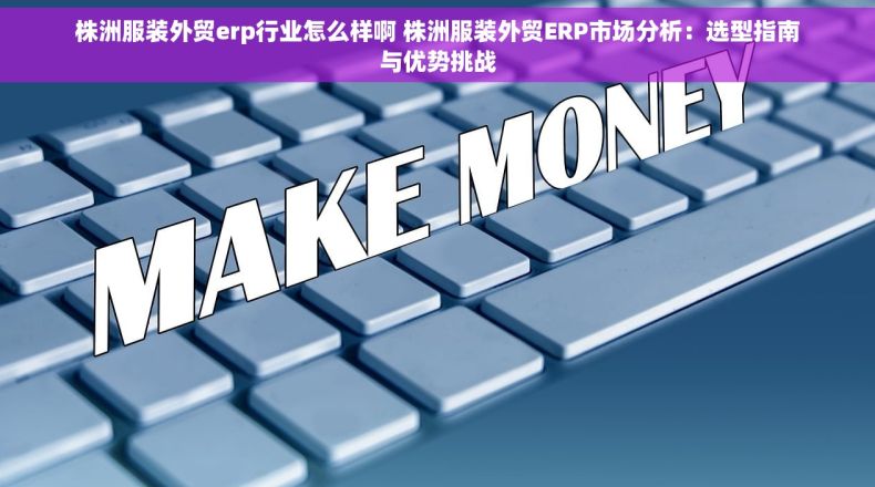 株洲服装外贸erp行业怎么样啊 株洲服装外贸ERP市场分析：选型指南与优势挑战