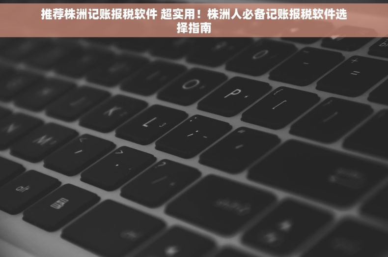 推荐株洲记账报税软件 超实用！株洲人必备记账报税软件选择指南