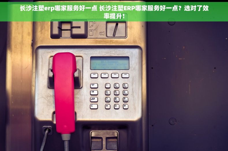 长沙注塑erp哪家服务好一点 长沙注塑ERP哪家服务好一点？选对了效率提升！