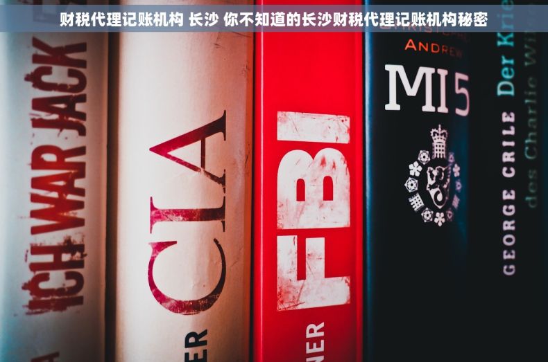 财税代理记账机构 长沙 你不知道的长沙财税代理记账机构秘密