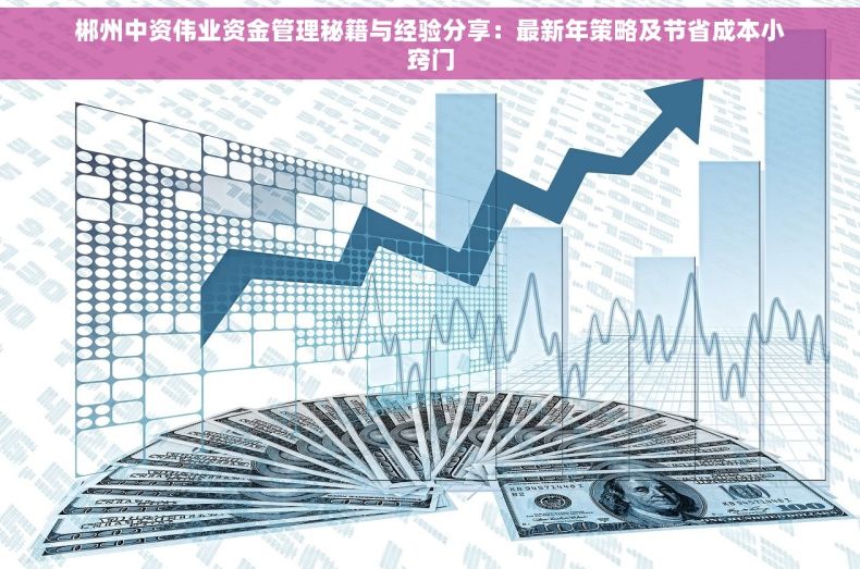 郴州中资伟业资金管理秘籍与经验分享：最新年策略及节省成本小窍门