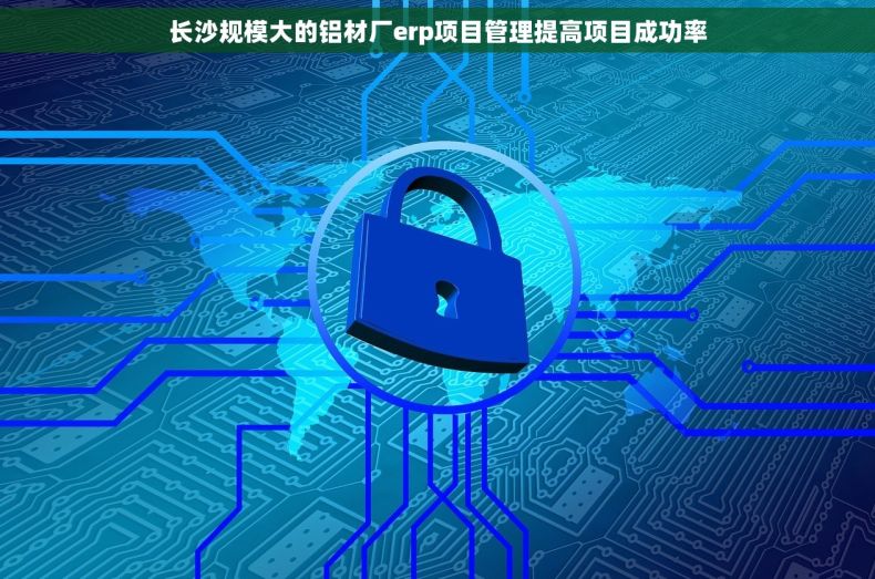 长沙规模大的铝材厂erp项目管理提高项目成功率