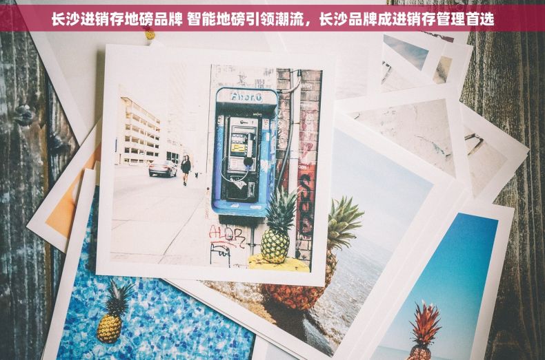长沙进销存地磅品牌 智能地磅引领潮流，长沙品牌成进销存管理首选