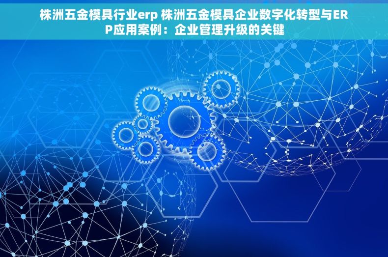 株洲五金模具行业erp 株洲五金模具企业数字化转型与ERP应用案例：企业管理升级的关键