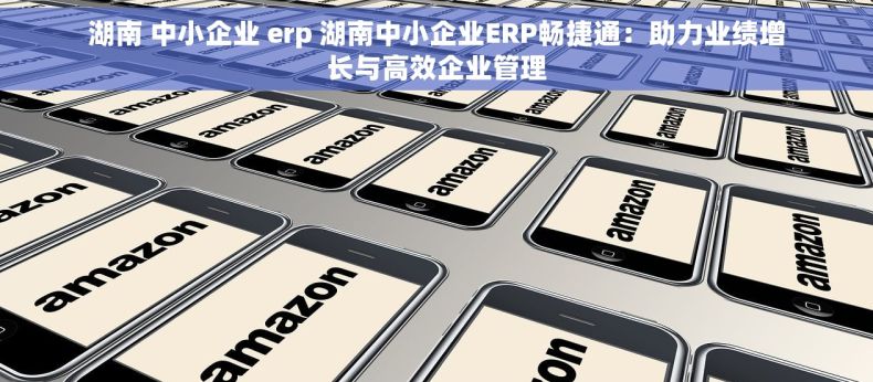 湖南 中小企业 erp 湖南中小企业ERP畅捷通：助力业绩增长与高效企业管理