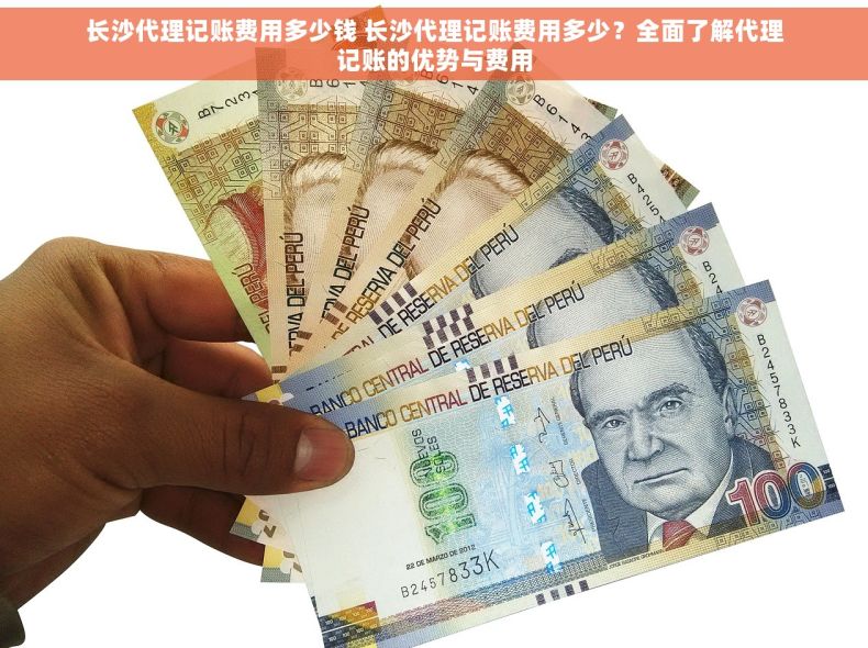长沙代理记账费用多少钱 长沙代理记账费用多少？全面了解代理记账的优势与费用
