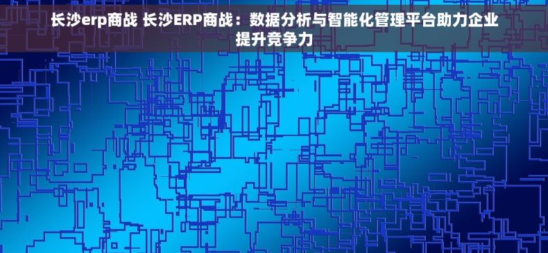 长沙erp商战 长沙ERP商战：数据分析与智能化管理平台助力企业提升竞争力