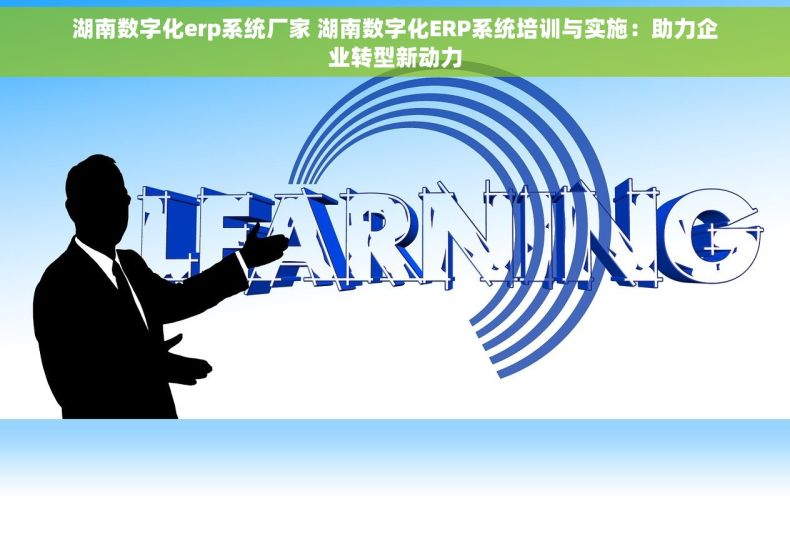 湖南数字化erp系统厂家 湖南数字化ERP系统培训与实施：助力企业转型新动力