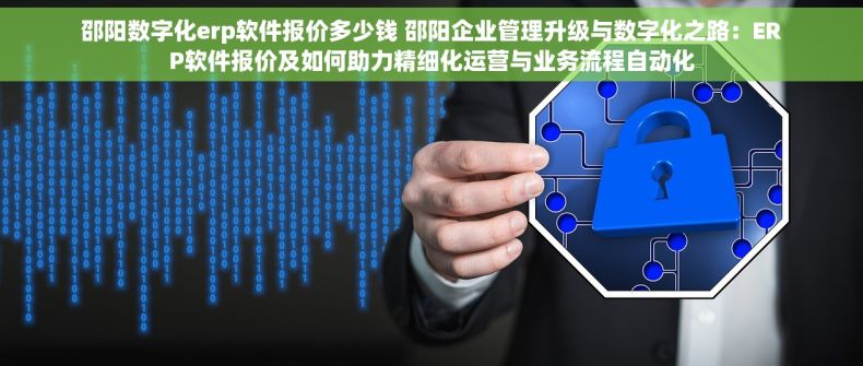 邵阳数字化erp软件报价多少钱 邵阳企业管理升级与数字化之路：ERP软件报价及如何助力精细化运营与业务流程自动化
