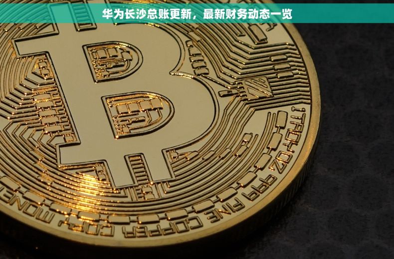 华为长沙总账更新，最新财务动态一览
