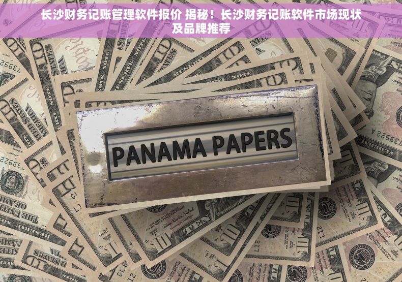 长沙财务记账管理软件报价 揭秘！长沙财务记账软件市场现状及品牌推荐