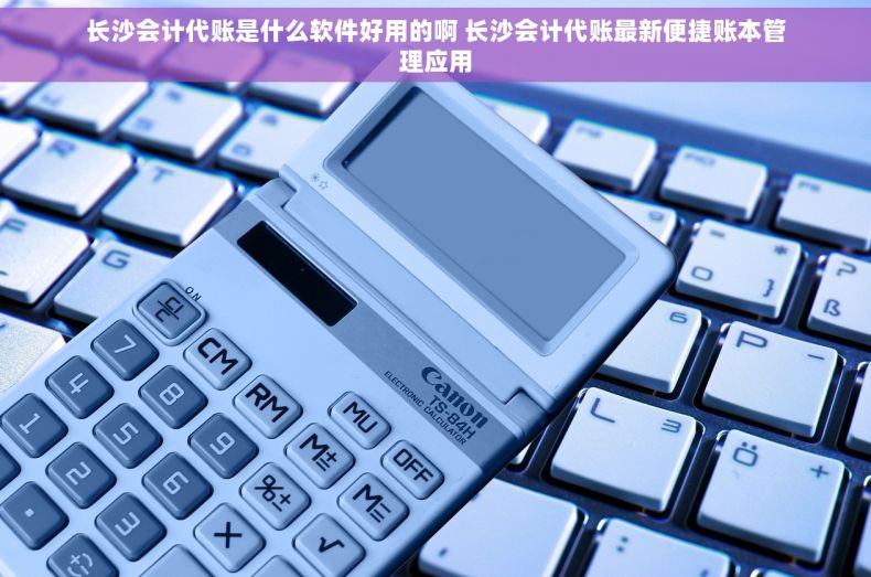 长沙会计代账是什么软件好用的啊 长沙会计代账最新便捷账本管理应用