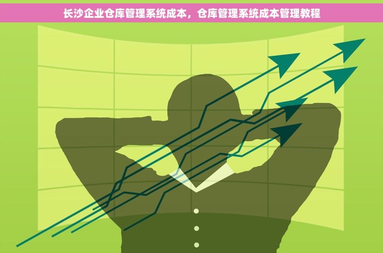 长沙企业仓库管理系统成本，仓库管理系统成本管理教程