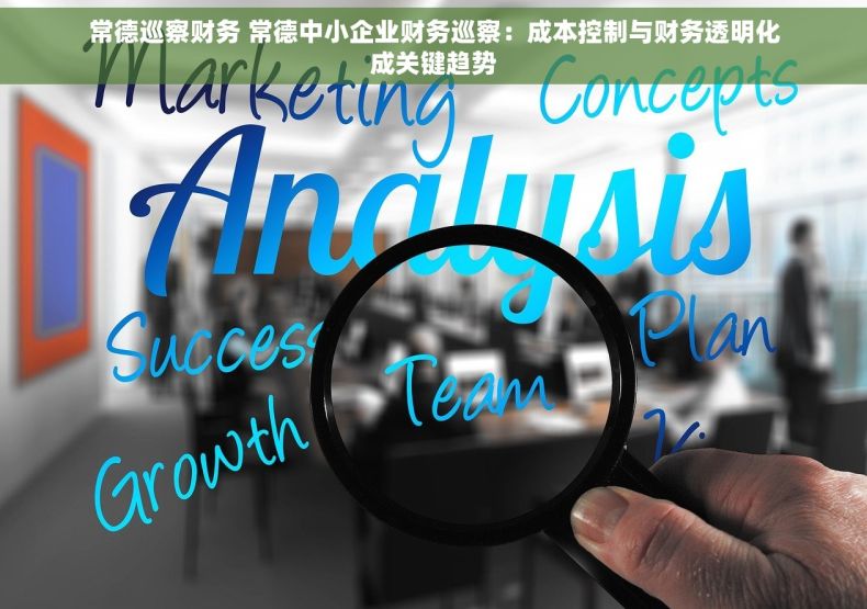 常德巡察财务 常德中小企业财务巡察：成本控制与财务透明化成关键趋势