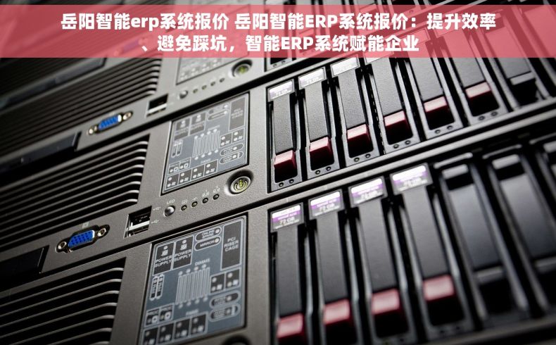 岳阳智能erp系统报价 岳阳智能ERP系统报价：提升效率、避免踩坑，智能ERP系统赋能企业
