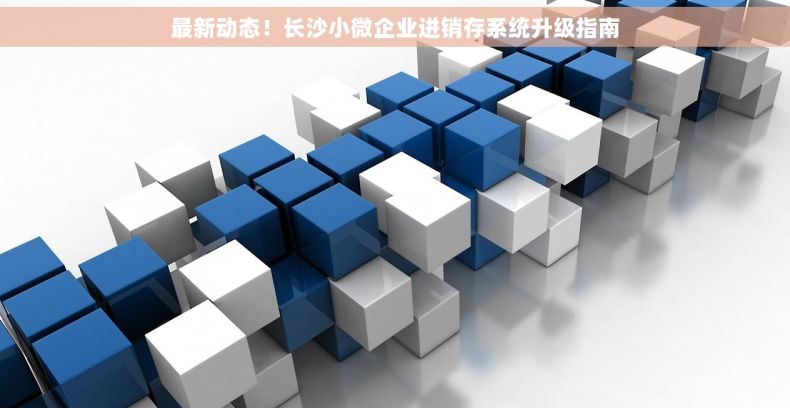 最新动态！长沙小微企业进销存系统升级指南
