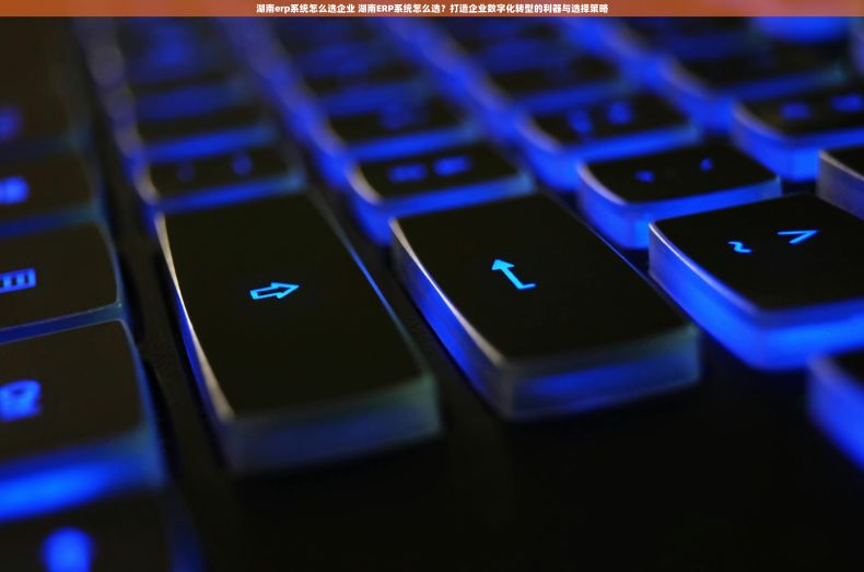 湖南erp系统怎么选企业 湖南ERP系统怎么选？打造企业数字化转型的利器与选择策略