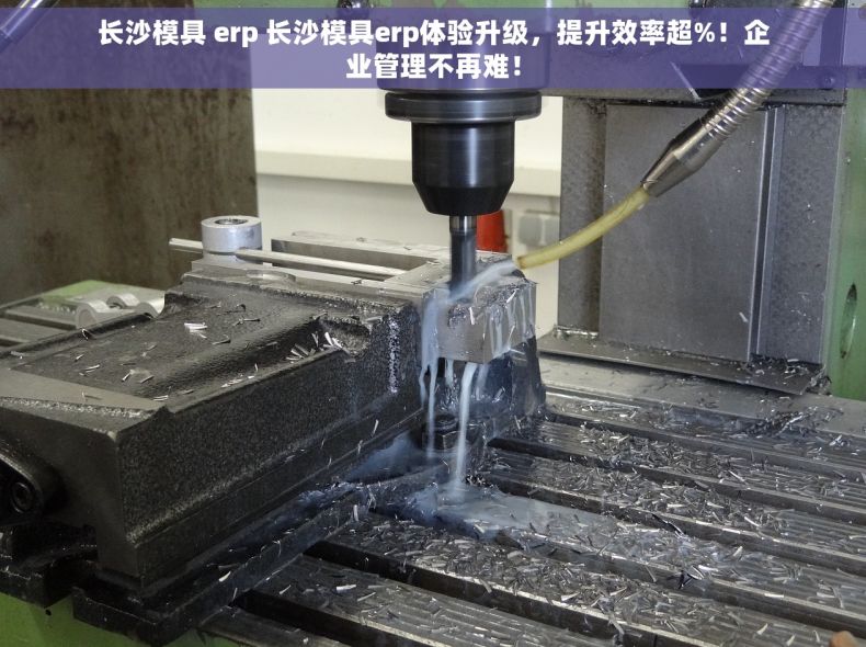 长沙模具 erp 长沙模具erp体验升级，提升效率超%！企业管理不再难！