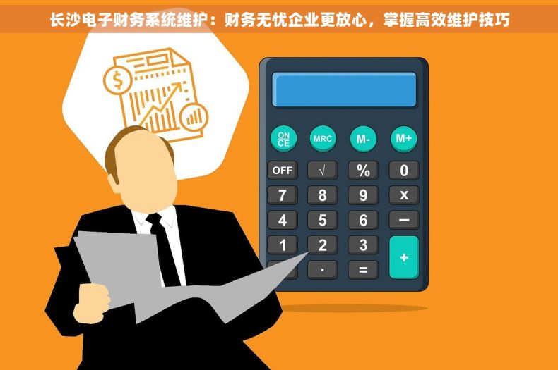 长沙电子财务系统维护：财务无忧企业更放心，掌握高效维护技巧