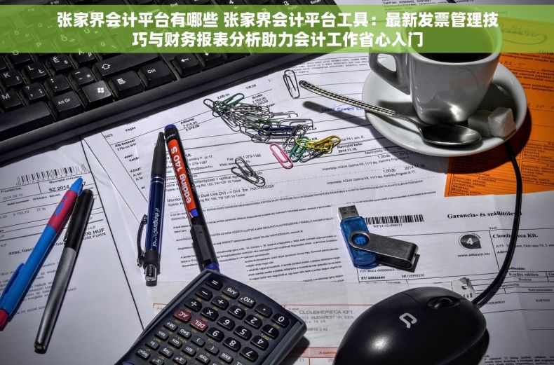 张家界会计平台有哪些 张家界会计平台工具：最新发票管理技巧与财务报表分析助力会计工作省心入门