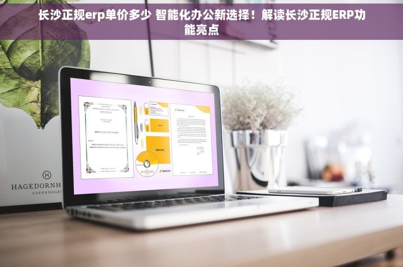 长沙正规erp单价多少 智能化办公新选择！解读长沙正规ERP功能亮点