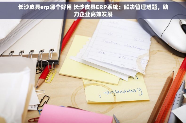 长沙皮具erp哪个好用 长沙皮具ERP系统：解决管理难题，助力企业高效发展