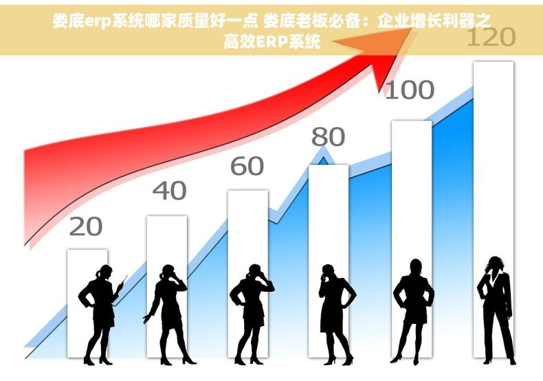娄底erp系统哪家质量好一点 娄底老板必备：企业增长利器之高效ERP系统