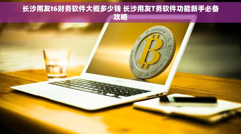 长沙用友t6财务软件大概多少钱 长沙用友T务软件功能新手必备攻略