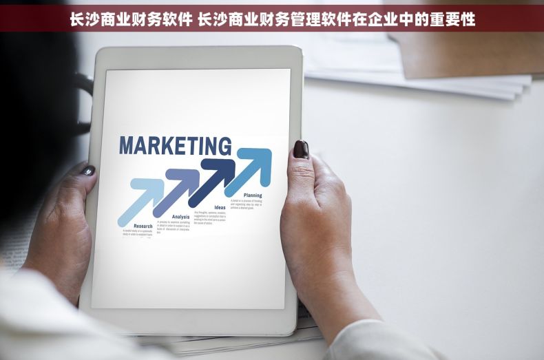 长沙商业财务软件 长沙商业财务管理软件在企业中的重要性