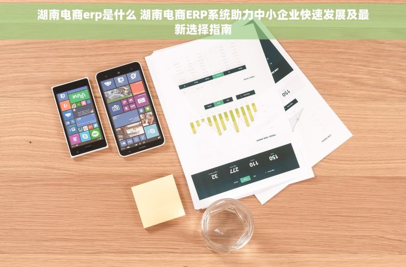 湖南电商erp是什么 湖南电商ERP系统助力中小企业快速发展及最新选择指南