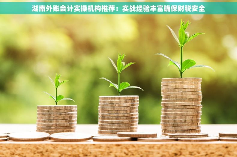 湖南外账会计实操机构推荐：实战经验丰富确保财税安全