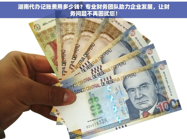 湖南代办记账费用多少钱？专业财务团队助力企业发展，让财务问题不再困扰您！