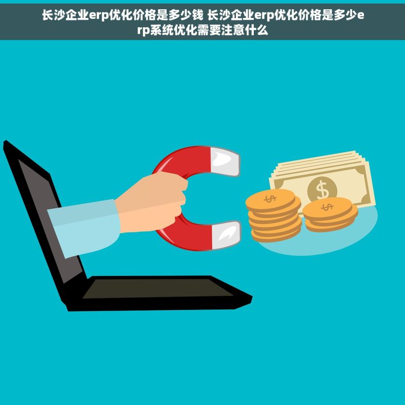 长沙企业erp优化价格是多少钱 长沙企业erp优化价格是多少erp系统优化需要注意什么