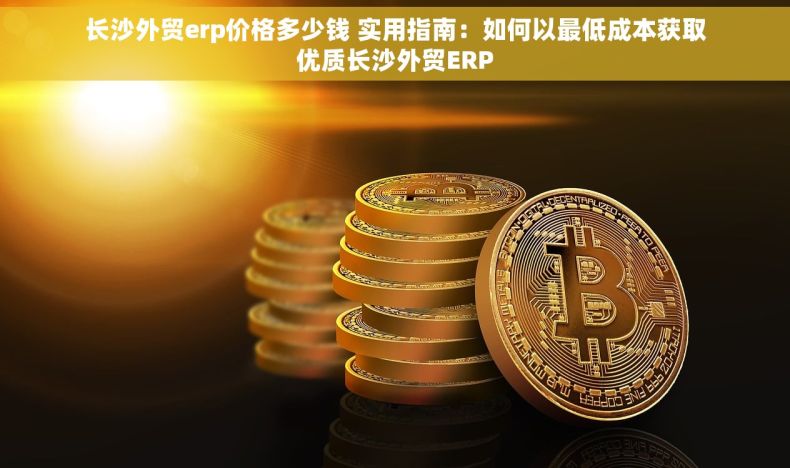 长沙外贸erp价格多少钱 实用指南：如何以最低成本获取优质长沙外贸ERP