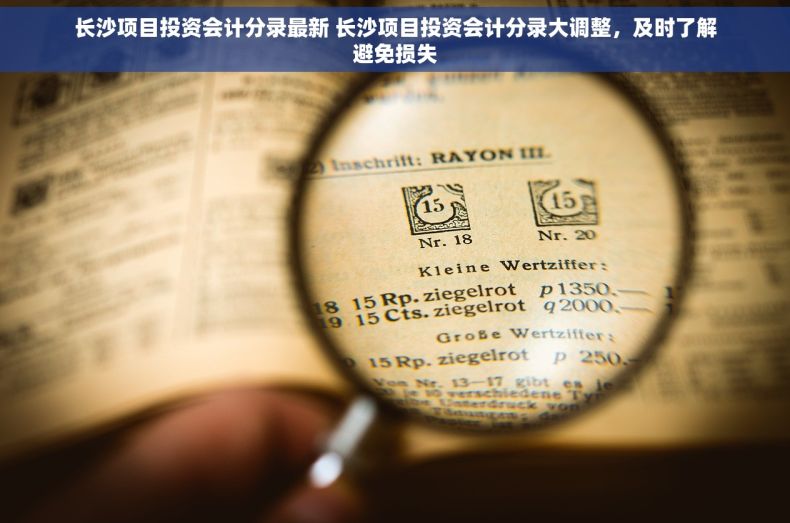 长沙项目投资会计分录最新 长沙项目投资会计分录大调整，及时了解避免损失