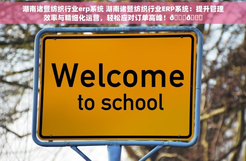 湖南诸暨纺织行业erp系统 湖南诸暨纺织行业ERP系统：提升管理效率与精细化运营，轻松应对订单高峰！🚀🌟