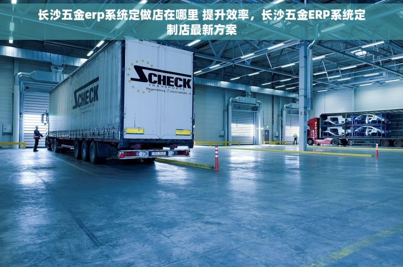 长沙五金erp系统定做店在哪里 提升效率，长沙五金ERP系统定制店最新方案