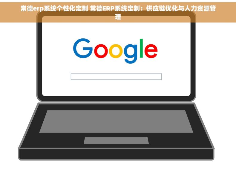 常德erp系统个性化定制 常德ERP系统定制：供应链优化与人力资源管理