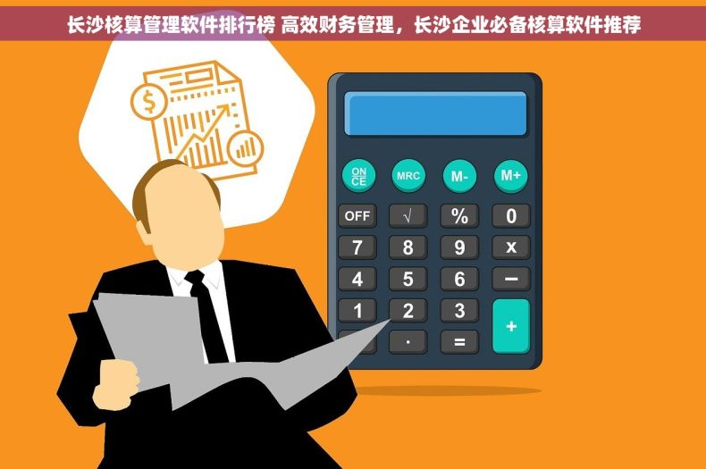 长沙核算管理软件排行榜 高效财务管理，长沙企业必备核算软件推荐