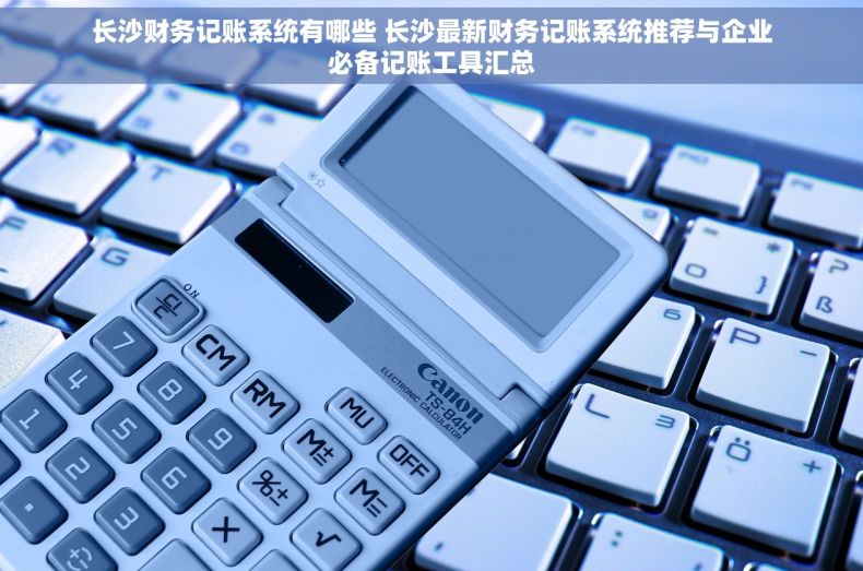 长沙财务记账系统有哪些 长沙最新财务记账系统推荐与企业必备记账工具汇总