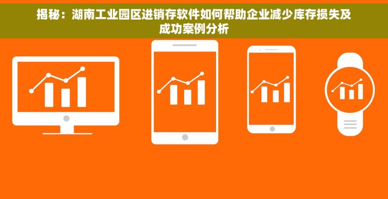 揭秘：湖南工业园区进销存软件如何帮助企业减少库存损失及成功案例分析