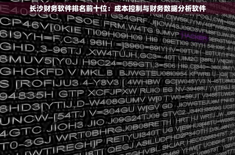 长沙财务软件排名前十位：成本控制与财务数据分析软件