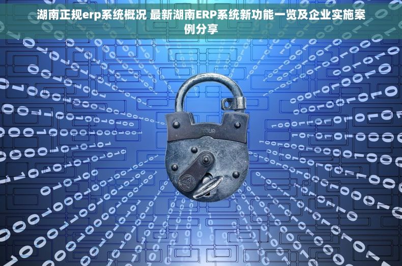 湖南正规erp系统概况 最新湖南ERP系统新功能一览及企业实施案例分享