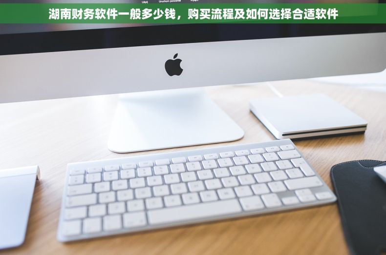 湖南财务软件一般多少钱，购买流程及如何选择合适软件